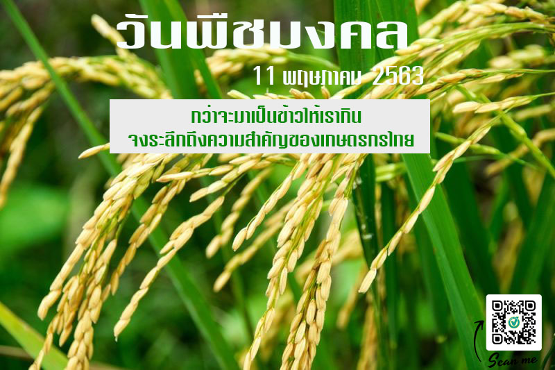วันพืชมงคล 
 เป็นการระลึกถึงความสำคัญของเกษตรกร
 ที่มีต่อเศรษฐกิจไทย 
 ซึ่งการจั…